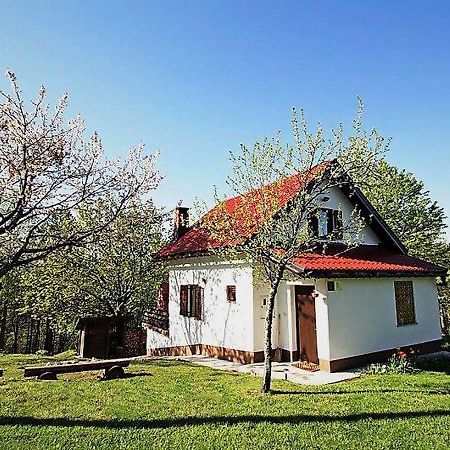 Holiday Home Coprnicka Hisa Skrad Εξωτερικό φωτογραφία